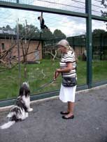 August 2011 -  Medi - im Zoo