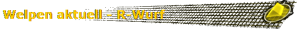 Welpen aktuell - R-Wurf